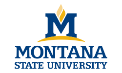 Montana State University